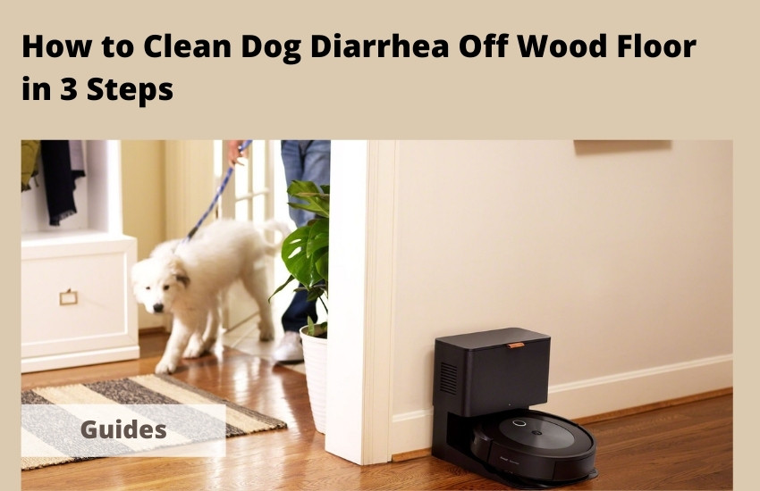  How to Clean Dog Diarrhea Off Wood Floor in 3 Steps